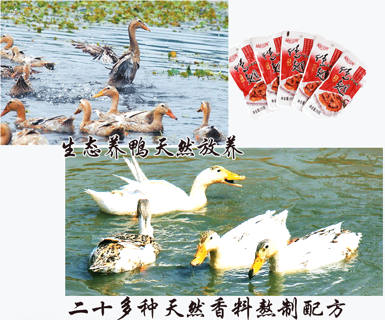 C:\Documents and Settings\Administrator\桌面\微信\详情\50个鸭\8详情_04.gif